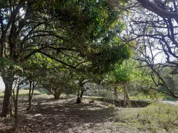 JARDIM SANTA HERMÍNIA