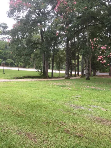 LINDA CHACARA COM PISCINA