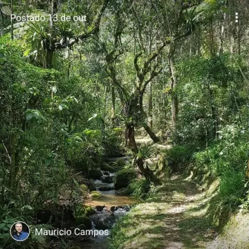 Sítio em São Francisco Xavier - Bairro Santa Barbara