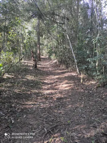 Sítio em São Francisco Xavier - Bairro Santa Barbara