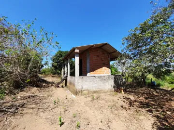 Chácara com árvores frutíferas