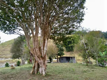 LINDO SÍTIO NATIVIDADE DA SERRA