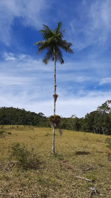 LINDO SÍTIO NATIVIDADE DA SERRA