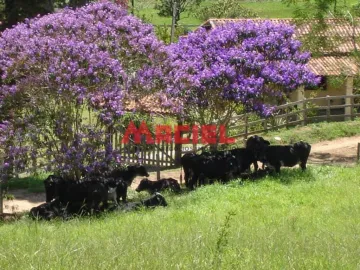 Chácara próxima a represa