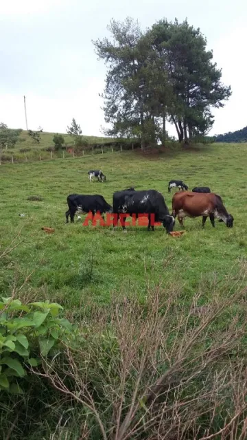 Chácara próxima a represa