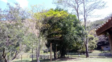 Belíssima Chácara em São Francisco Xavier