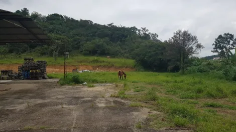 Galpão Torrão de Ouro