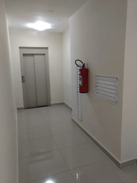 Apartamento com 4 Quartos à venda, 180m² - Bosque dos Eucaliptos