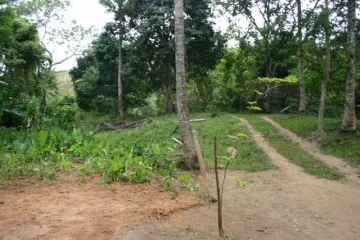 Terreno perfeito para um sítio em Ilhabela