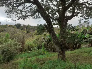 Chácara no bairro Boa Esperança