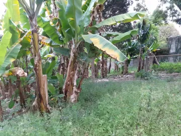 Chácara no bairro Boa Esperança