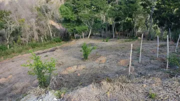 Venda do Sítio Bonanza em Caçapava