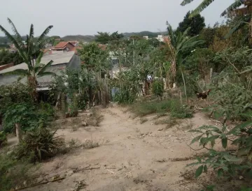 Área no Torrão de Ouro