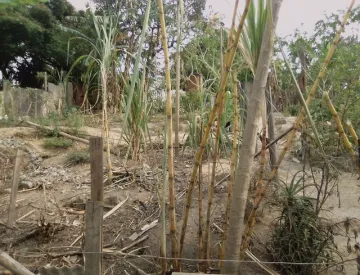 Área no Torrão de Ouro