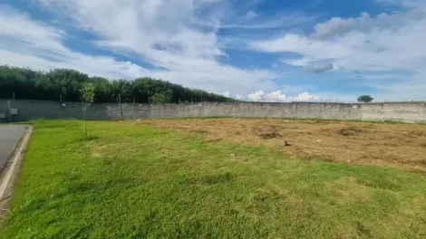 Oportunidade Imperdível! Terreno de Esquina com 650m², Plano e com Excelente Possibilidade de Negociação!