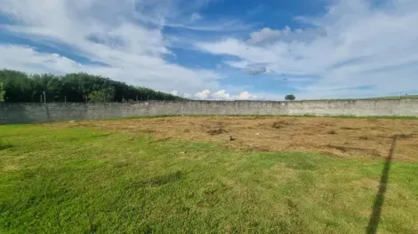 Oportunidade Imperdível! Terreno de Esquina com 650m², Plano e com Excelente Possibilidade de Negociação!