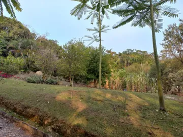 ÁREA EM MONTEIRO LOBATO