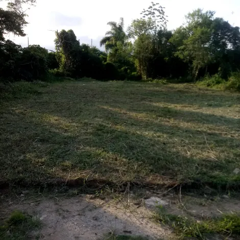 Terreno plano em Caraguatatuba, medindo 10 metros de frente e 29 metros de fundos. Fica no final do bairro Golfinho, com escritura registrada.