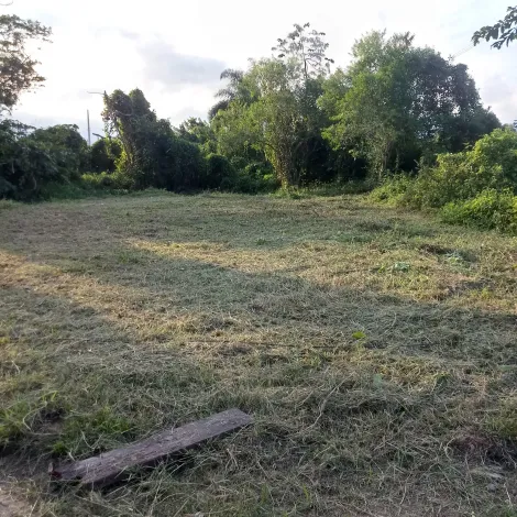 Terreno plano em Caraguatatuba, medindo 10 metros de frente e 29 metros de fundos. Fica no final do bairro Golfinho, com escritura registrada.