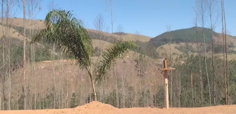 LINDA CHÁCARA EM MONTEIRO LOBATO