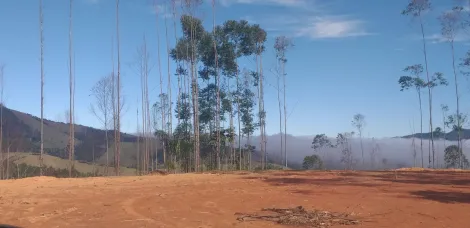 LINDA CHÁCARA EM MONTEIRO LOBATO