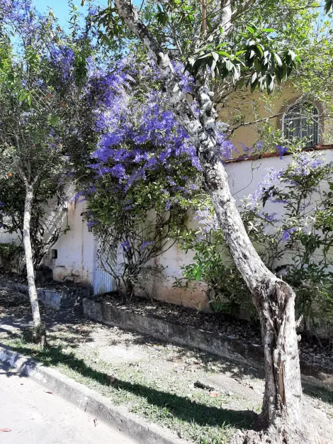 Uma casa de campo dentro da cidade localizado em Condominio no bairrro Urbanova  com  910 m2 de area de terreno, com muito espaço externo, jardim, piscina, pomar, e muito mais, venha conferir!