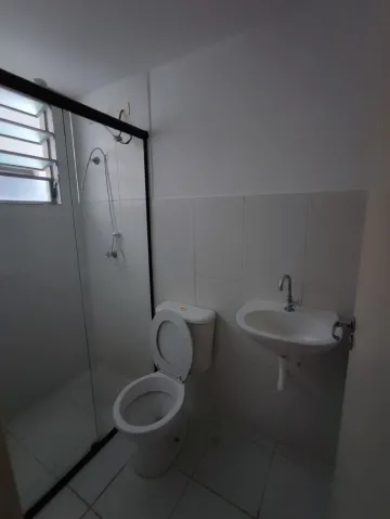 Descubra o seu Refúgio Urbano: Apartamento de 3 Dormitórios no Condomínio Spazio Campo das Violetas