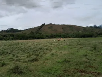 ÁREA EM SÃO LUIZ DO PARAITINGA