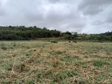 ÁREA EM SÃO LUIZ DO PARAITINGA