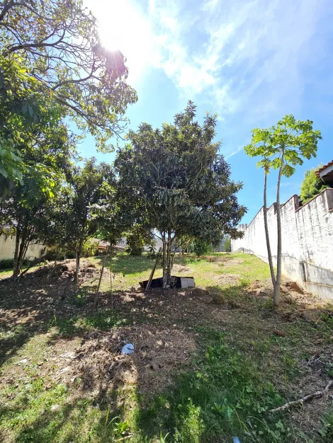 `Seu Espaço Exclusivo: Terreno em Declive de 533 m² no Condomínio Floresta`