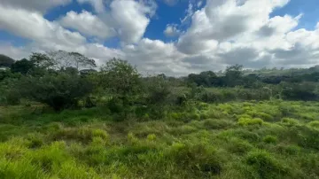 Área em São José dos Campos na zona leste.