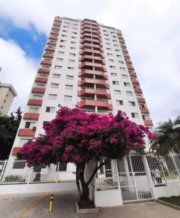 Cobertura 240 m² - Jardim Aquarius - Ponte Estaiada