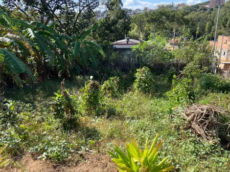 TERRENO A VENDA EM PARAISOPOLIS - M.G.