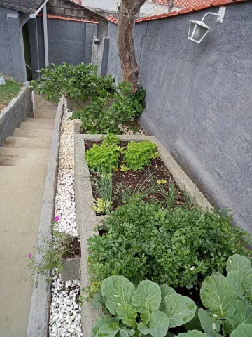 linda casa com terreno grade e pomar horta