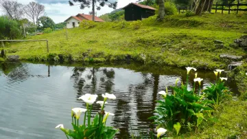 Belíssimo sítio em Sapucaí Mirim (bairro Juncal) com 3 casas e água em abundância