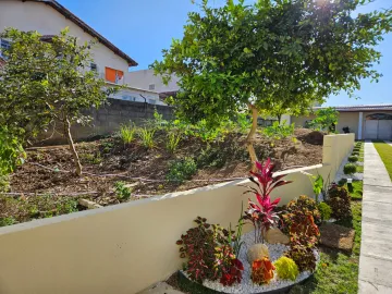 Imperdível! Casa 3 Dormitórios Reformada em Parque Nova Esperança - 500 m² de Terreno