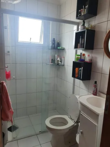 Apartamento novo Vila Maria