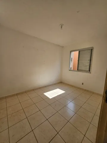 Apartamento de oportunidade Cajuru