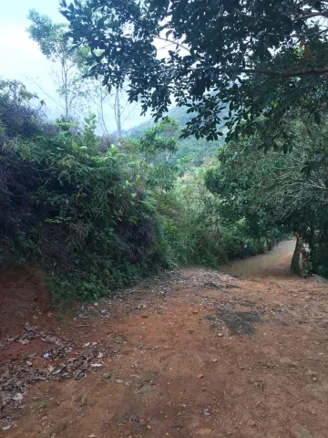 Terreno Praia Bonete Ilha Bela